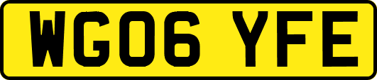 WG06YFE