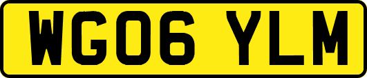 WG06YLM