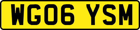 WG06YSM