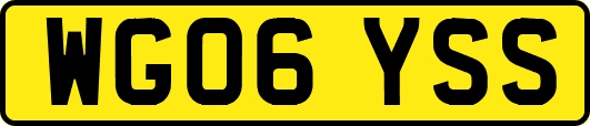 WG06YSS