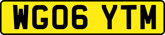 WG06YTM