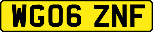 WG06ZNF