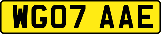 WG07AAE