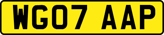 WG07AAP