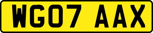 WG07AAX