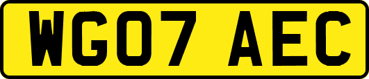 WG07AEC