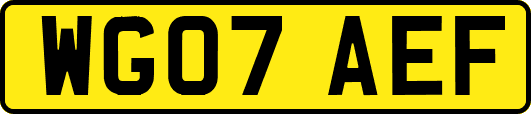 WG07AEF