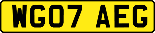 WG07AEG