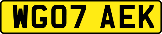 WG07AEK