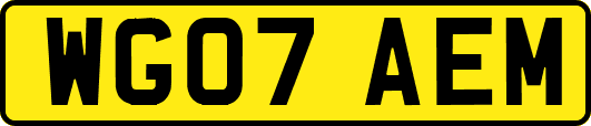 WG07AEM