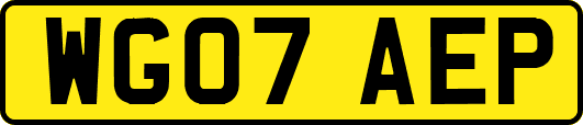 WG07AEP