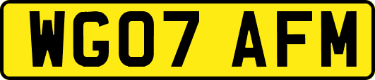 WG07AFM