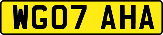 WG07AHA