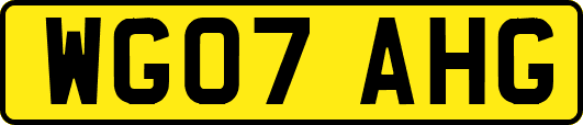 WG07AHG