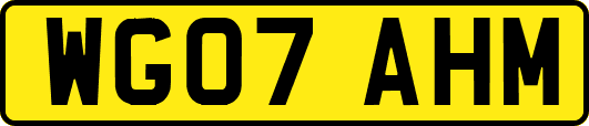 WG07AHM