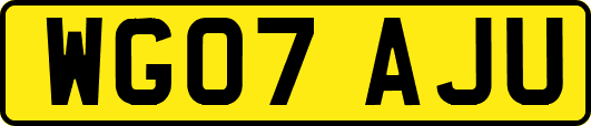 WG07AJU