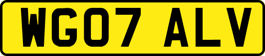 WG07ALV