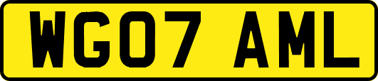 WG07AML