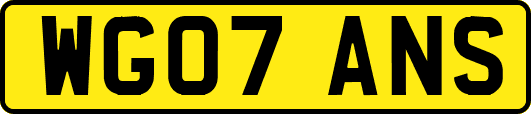WG07ANS