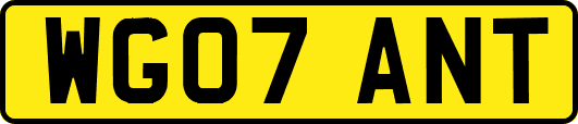 WG07ANT