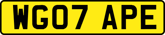 WG07APE