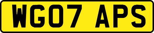 WG07APS