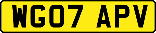 WG07APV