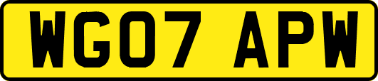 WG07APW