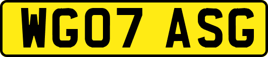 WG07ASG