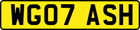 WG07ASH
