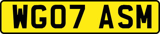 WG07ASM