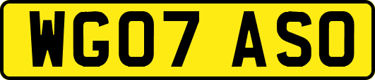 WG07ASO