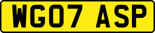 WG07ASP