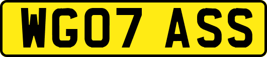 WG07ASS