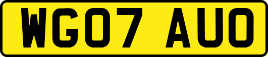 WG07AUO
