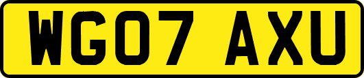 WG07AXU