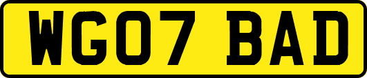 WG07BAD