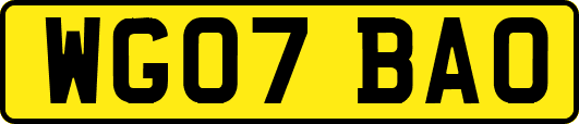 WG07BAO