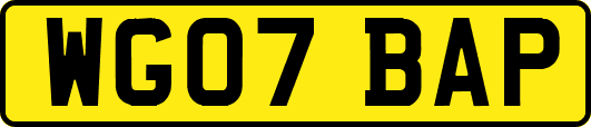 WG07BAP