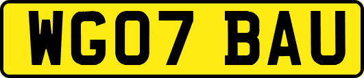 WG07BAU