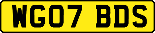 WG07BDS