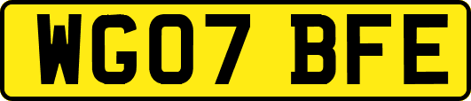WG07BFE