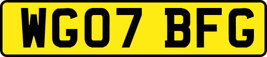 WG07BFG