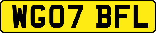 WG07BFL