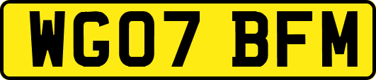 WG07BFM