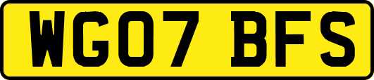 WG07BFS