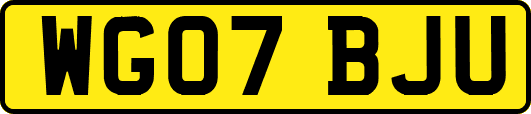 WG07BJU