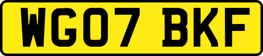 WG07BKF