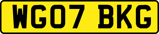 WG07BKG