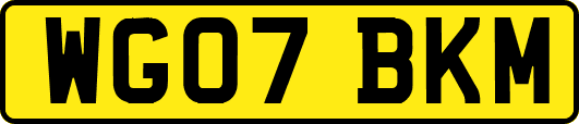 WG07BKM